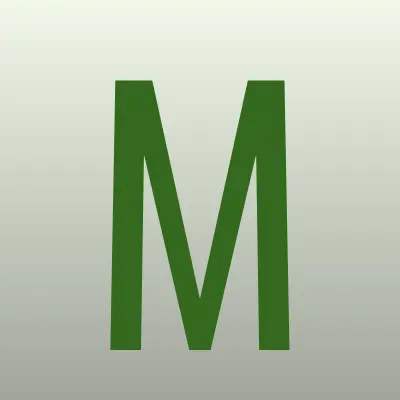Мир шин, шинный центр, лого-визитка